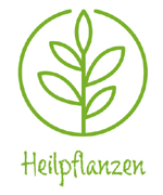 Gesundheitsinfo Heilpflanzen